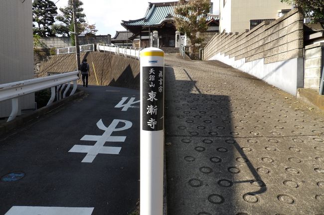 東漸寺-向拝に透かし彫りの海老虹梁』本牧・根岸・磯子(神奈川 東漸寺-向拝に透かし彫りの海老虹梁』本牧・根岸・磯子(神奈川
