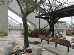 壷川で下車。駅の周りには台風の影響を受けた木々の残骸かと思われるものがありました。