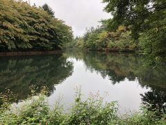 雨も降ったりやんだり、雲場池について池を一周。

ここも夫とくるのは3度目？
思い出の場所に再び一緒に来れるのは嬉しいです。