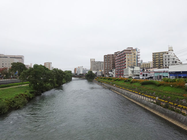2日目の朝。<br />北上川沿いをジョギングしている人がいます。気持ちよさそうー。<br />どんよりとした空です。