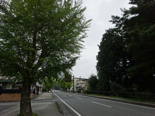 初めての電動自転車は漕ぎ始めビューンと進むので、最初ビックリでしたが、慣れるととても快適でした(^^)v　家でも電動に替えたい…。<br />道も広く、歩行者はほとんどいなかったので、ビュンビュン進みます～♪<br />気候はちょっと涼しいですが、気持ちいい～(^_^)/~