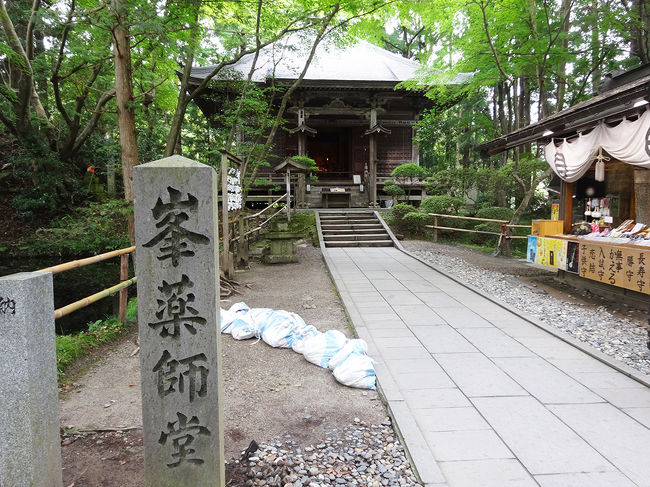 峯薬師堂<br />目にご利益ある神様です。<br />