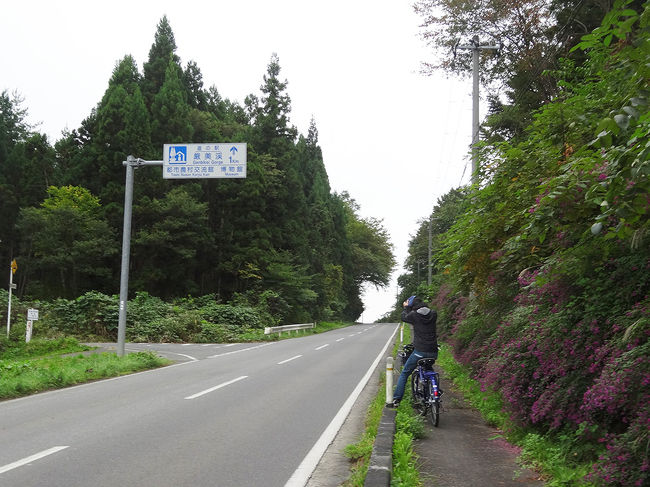 もうすぐ最終目的地です！夜は真っ暗な道ですね。ひとりだったら寂しいかも。<br />ここはもう一関市です。