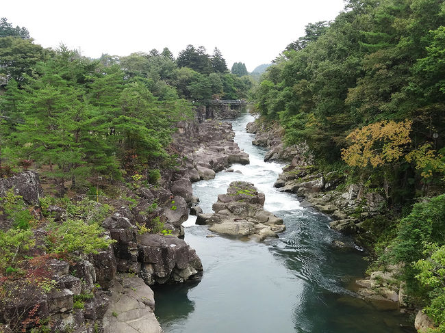 紅葉にはまだ早いですね。