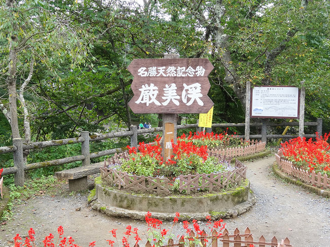 厳美渓（げんびけい）に着きました(^^)/<br />ここはたくさんの人！