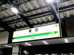 終点、東京に到着。

帰ってきた感がすごいです。
