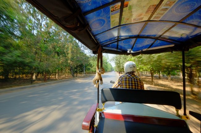 午後は、トゥクトゥクをチャーターして再びアンコール遺跡群へ!!