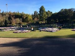 中心街の植物園・公園