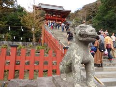 階段を登って本宮へ参拝。

鶴岡八幡宮の由来は、1063年、源頼義が奥州を平定して鎌倉に帰り、出陣に際してご加護を祈願した京都の石清水八幡宮を由比ヶ浜辺にお祀りしたのが始まりとされています。その後、源頼朝が由比ヶ浜辺の八幡宮を現在の地に遷して整えのだそう。現在の本殿は、1828年に11代将軍徳川家斉が造営した代表的な江戸建築で、国の重要文化財に指定されています。 

本宮に撮影禁止とあったので、上では写真を撮りませんでしたが、色鮮やかな社殿と彫刻が見事でした♪