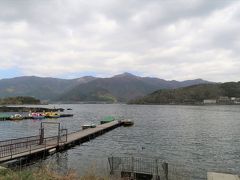 河口湖に到着。
息子は沢山いるスワンボートが気になる様子。
じゃあ、乗ってみますか。
