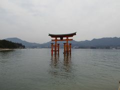 食事後、厳島神社に向かいます。大鳥居が見えてきました。
この日はどんよりしたままで、天気はイマイチ。