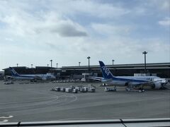 ５年ぶりの海外出張で成田空港第１ターミナルへ