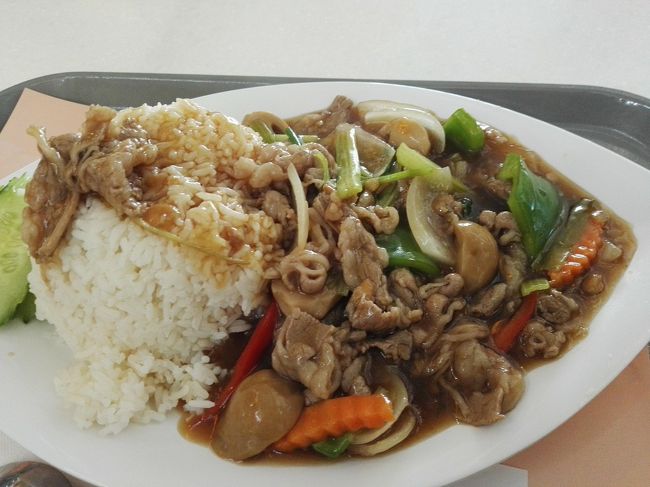 ヂャヂャァ～ン🎵<br /><br /><br /><br /><br /><br />ものすごいボリュームなんですがぁ～……😓💦💦💦<br /><br /><br /><br /><br /><br /><br />頂きますぅ🎵<br /><br /><br /><br /><br />モグモグモグ……<br /><br />やっぱタイ料理は安定の美味しさですわ💕💕💕<br /><br /><br /><br /><br /><br />全然辛くない味付けで……ご飯が進む君です❗<br /><br /><br /><br /><br /><br /><br />さっきワンタン麺食べたばっかなのに……こちらも完食して……臨月間近の妊婦になって出発ゲートに向かいますぅ……🚶🚶🚶💨<br /><br /><br /><br /><br />