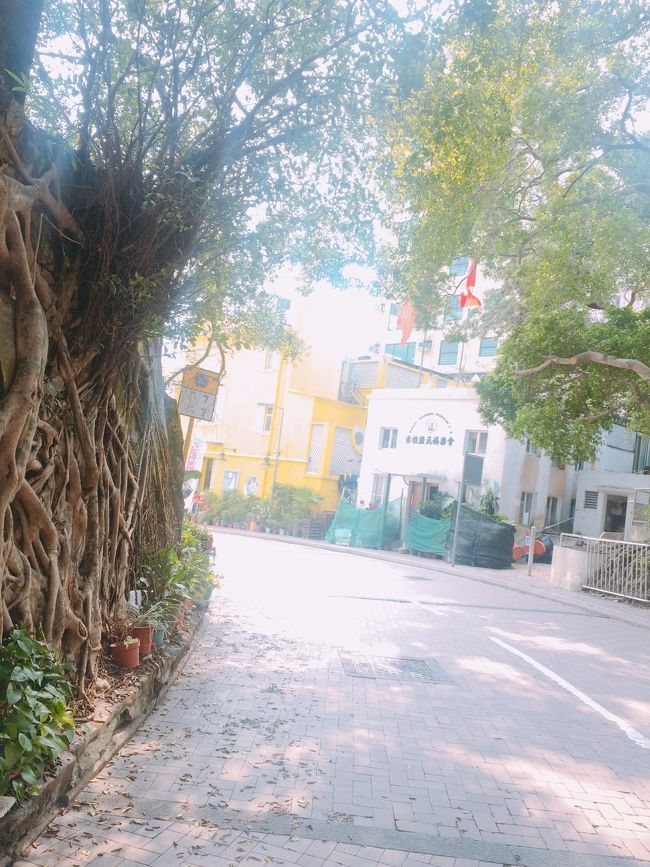 リゾート感あるショット