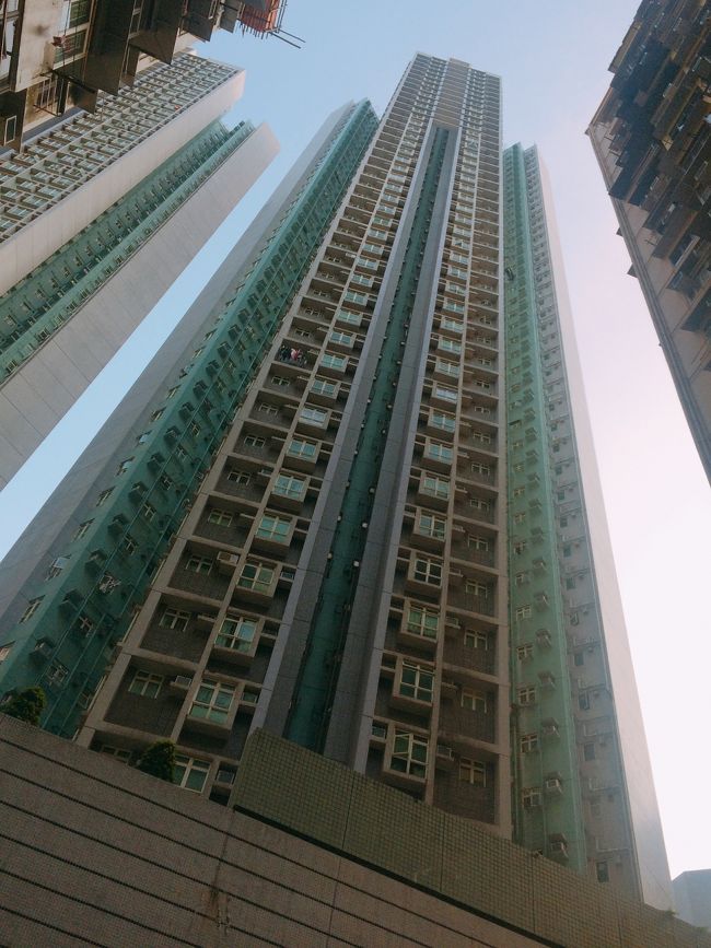 モンスターマンションの後ろは<br />近代的なモンスターマンション。