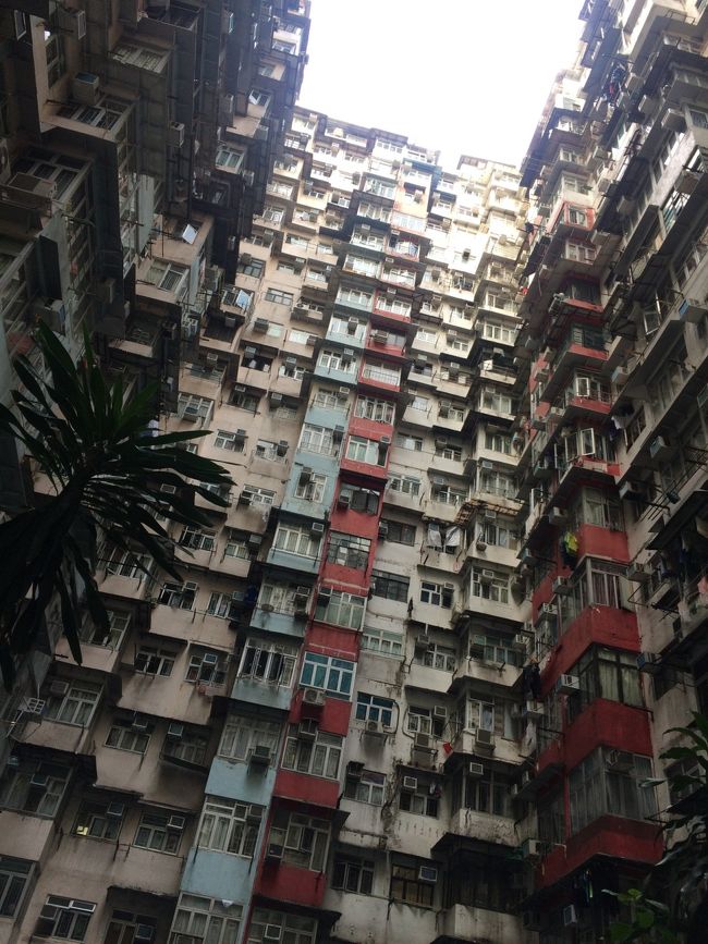 大迫力！！<br /><br />だけど、思ったことはカメラ力がないと素敵に撮れないww<br /><br />インスタ映えになりきれなかった笑<br /><br />でも、見れたからよかった。