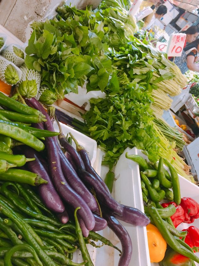 見てるだけで楽しい