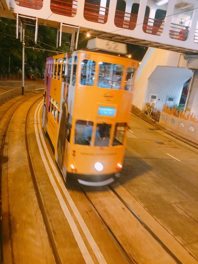 対向するトラムは色んな柄があって、見てるだけで楽しめちゃう♪