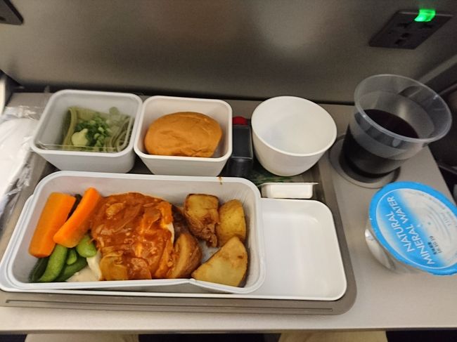 機内食はかつ丼とチキンがあった。チキンを選択。飲み物は赤ワイン。<br /><br />味はまあまあかな。ちょっと肉の臭みがあるように感じた。そばは美味しかった。食後はハーゲンダッツのバニラアイスが配られた。<br /><br />食後は映画を見て到着まで過ごした。