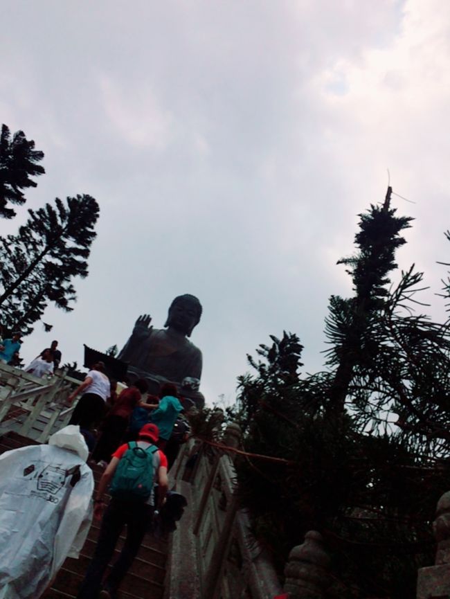 勢いで登るには長すぎました。<br />だけど、あとちょっと！<br />大仏さまに近づいてきた！