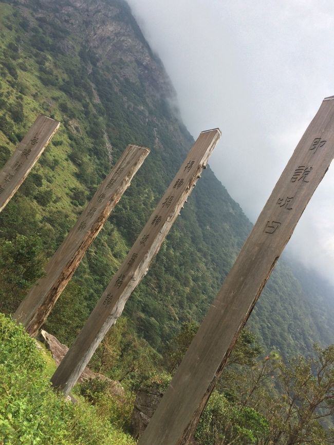 ハートスートラ（心経簡林）です！