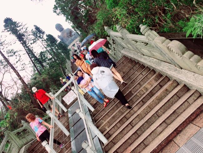 見上げてみるととても急