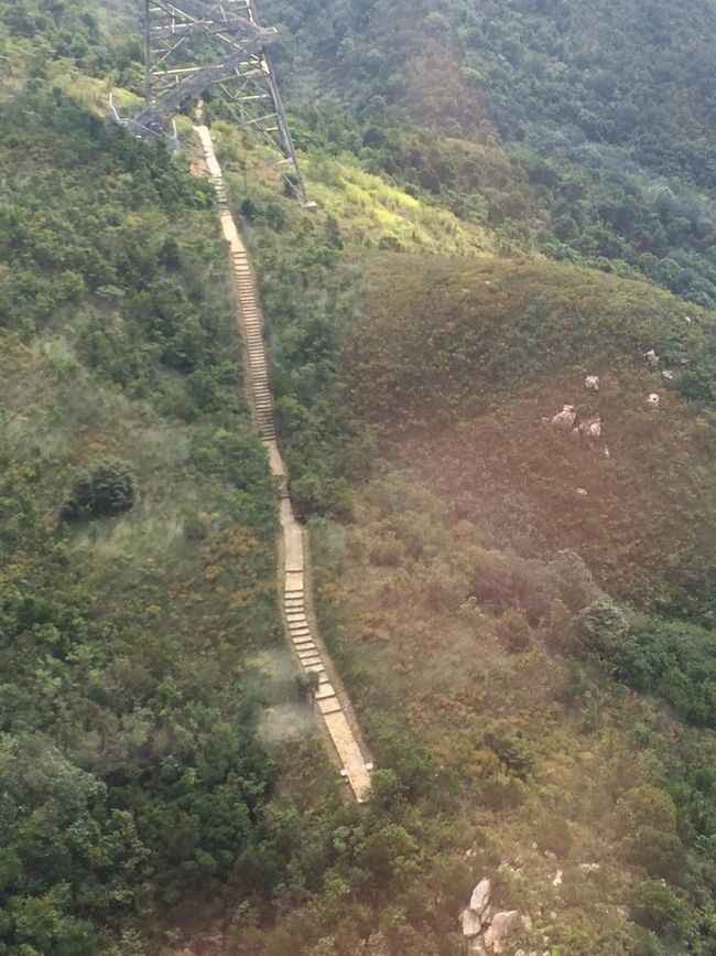 下を見下ろすと歩道が！<br /><br />歩いて登ることもできるみたい。<br />