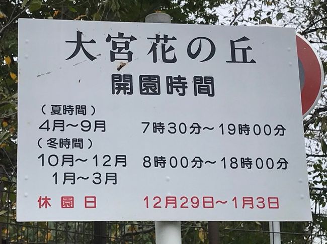 秋の花が咲き乱れる花の丘公園2018 サルビア コスモス コキアなど 大宮 埼玉県 の旅行記 ブログ By としさん フォートラベル