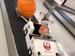 羽田空港に到着。
ハロウィンで盛り上がっているわね。