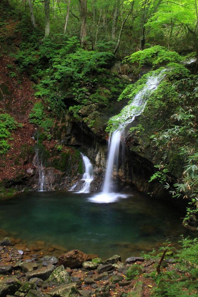 安達ケ原 Volcano Trail | 安達太良自然センター
