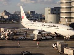 10月6日&#12847;　3連休です。
JAL 16:55の便で羽田から三沢へ向かいます。
3連休ですが、搭乗率は60％位でした。