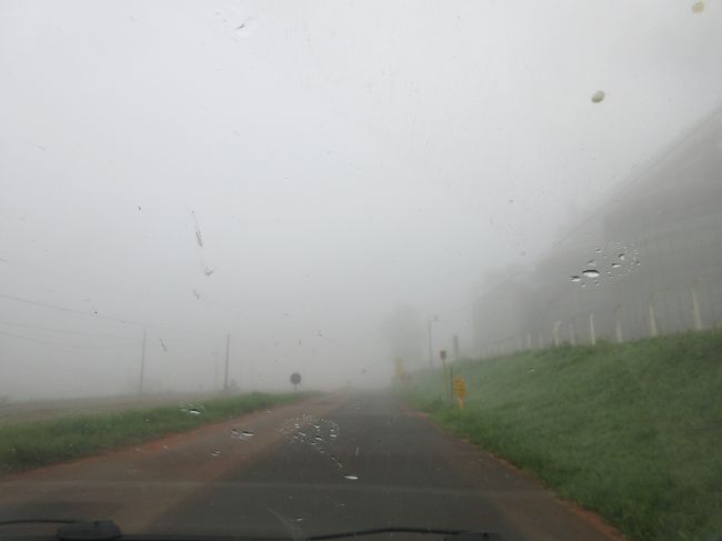 朝は深い霧が立ってた<br /><br />