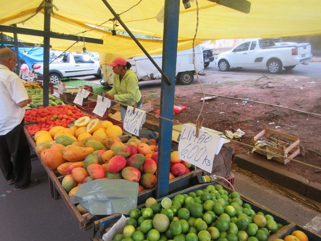 リモンタイチ、マンガ、パパイア、メロン、トマト、オレンジ<br />　なんでも有るでー！<br /><br />