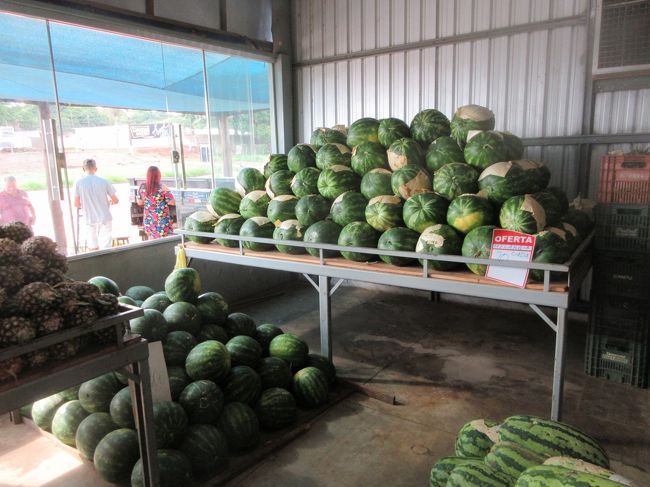 真ん丸のは大きいのと小さいのと<br /><br />