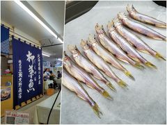 2日目。
先日の北海道胆振東部地震で震度６強だった「むかわ町」に
シシャモを食べに行く。

この日の朝も前日も震度4くらいの地震があったので心配だったけれど、
観光で少しだけでも復興への貢献ができるかも…
と、思って行くことにした。
と、言うより…折角シシャモの時期に来たのだから、
どうしても食べたかっただけなんだけどね。