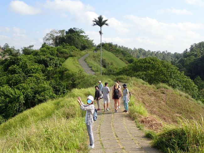 8時になると　もう暑い暑い。<br />朝食前にすればよかった・・・と反省。<br />考え無かった訳ではないのですが、余り早い時刻だと　カルサカフェがオープンしていないだろう・・・と考えて先に朝食にしたのですが。<br />朝もやのチャンプアンはどんなに気持ちよかっただろうかと思うと、どちらを取るか　悩むところです。<br />カルサカフェが早朝オープンしてくれたらいいのにネ。