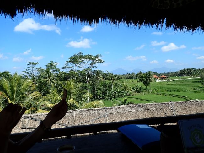 周りにカフェなどが増えてきているとは言うものの、まだまだこの景色とここに吹く風は最高です！！