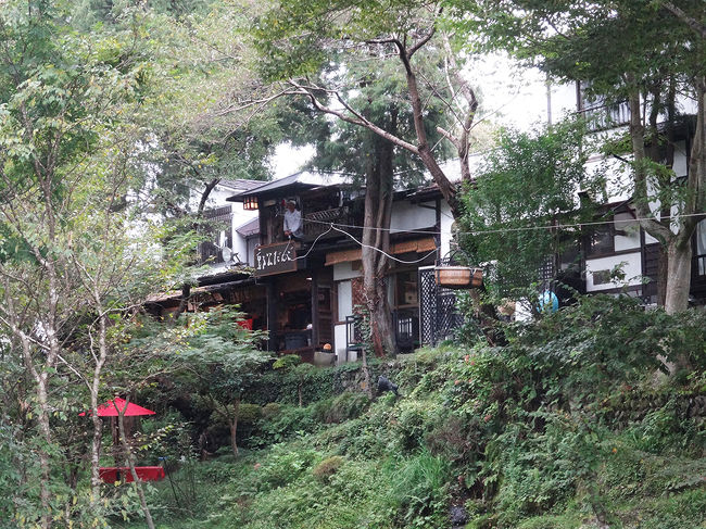 団子を入れて籠が戻って来ます。<br />時間がなく混んでいたので、食べませんでしたが…(;O;)