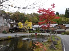 11時半頃、蔦温泉に到着。
標高が高く、もう紅葉がきれいです。
日帰りの駐車場は狭かったですが、回転も早いようで、すぐに停められました。