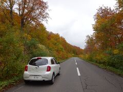 車に戻り、野辺地を目指します。
国道394号に入り、谷地温泉を過ぎたこのあたりは、ちょうど紅葉のピークで、最高のドライブコースとなっていました。