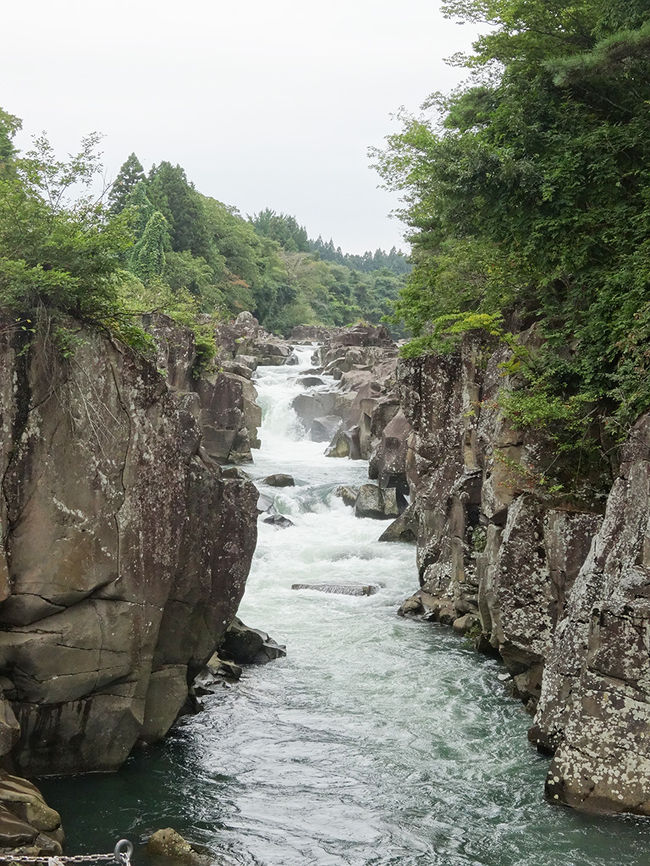 見応えありますね。頑張って来たかいがありました！