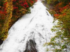 湯滝も紅葉真っ盛り。