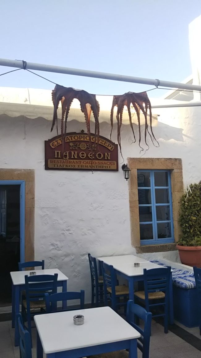 たこが干されてました。