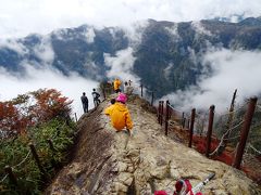 大台ヶ原 東大台 大台ヶ原 上北山 奈良県 の旅行記 ブログ By Mozukoさん フォートラベル