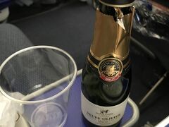 ３月頃から準備してきた夏休みの旅行。いよいよ出発！
ペットたちを空港付近のペットホテルに預けて、８時すぎには成田空港に到着。車は空港の駐車場（P5)を予約しておきました。ちょっと遠いけど、まっすぐアクセスできてラクチン。
カウンターでチェックインすると、父がＡＮＡのプラチナ会員だったので、特別に家族もプレミアムエコノミーにアップグレードしてもらえることに。（本当は会員本人しかアップグレードできないところを、今回は特別に！と強調されましたが。）
・・・ところが、５人家族なのに４席しか準備できないとのこと。
１人だけエコノミーじゃかわいそうだね、と家族で話し合い、母と娘の女子（？）チームがプレエコにしてもらいました！

荷物を預けた後は、ポータブルWifiを借りたり（今回はGlobal　Wifiのヨーロッパ2か国プランで。）、両替したり、思ったより時間が無い感じです。
でも、空港自体空いていたし、保安検査や出国審査もスイスイだったので余裕をもって搭乗できたかな。

いざ飛行機に乗ってみると、プレエコに空席がまだ３席あります。カウンターでのやりとりをＣＡさんにお話しして、家族全員プレエコに変えてもらいたいとリクエストするも、搭乗してからは無理、と断られてしまいました。残念。

とにかく、10:50定刻でブリュッセルに出発します！
プレエコ以上でしか飲めないスパークリングワインで、乾杯！
ほんと、ありがとう、お父さん。
