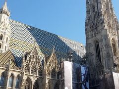 　11:52　聖シュテファン大聖堂へ
オペラ座付近で下車し、メインストリートのケルントナー通りを歩き、こちらへ。「ウィーンの象徴」とか「ウィーンの魂」と言われる寺院です。12世紀に建てられ、137mの塔を持つゴシック様式の教会です。