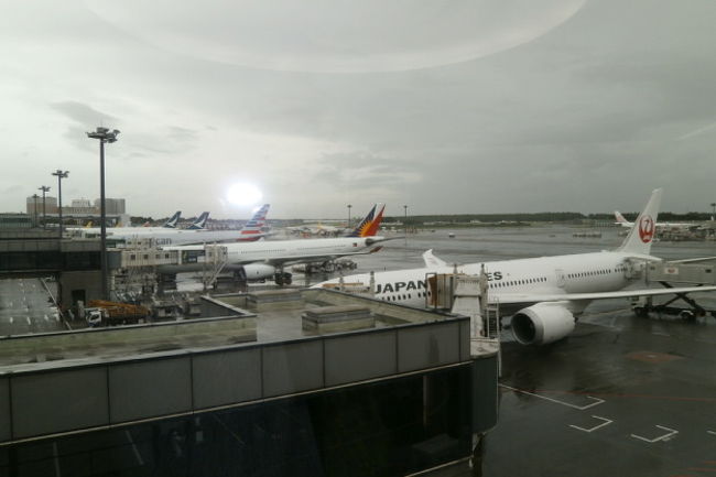 奥の方に本日乗るキャセイパシフィックの飛行機が見えます。