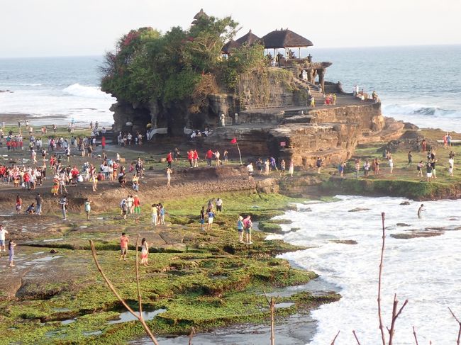 これこれ、写真で何度もみたことあるわ。<br />うまい具合に干潮で傍まで行けました。