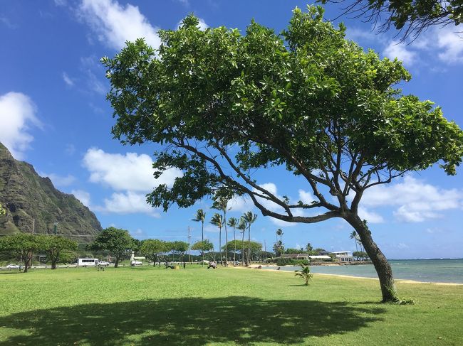 北方向にカメラを向けると 青空に写りますね<br /><br />こちらは  クアロアリージョナル パーク<br />ジュラシックワールドのロケ地で有名な クアロア・ランチのすぐそばです