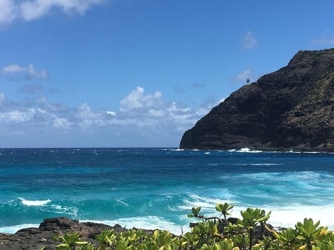 この海の青さもすごく良いです。<br />白砂とのコントラストもステキ♡